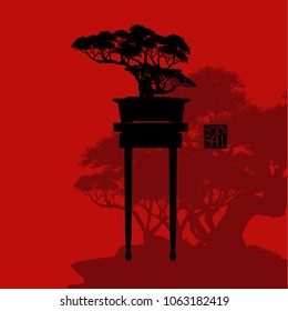 Bonsai tree, Black silhouette of bonsai, Detailed image, Vector illustration,  