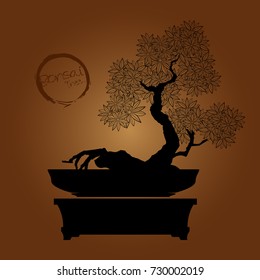Bonsai tree. Black silhouette of bonsai. Detailed image. Vector illustration  