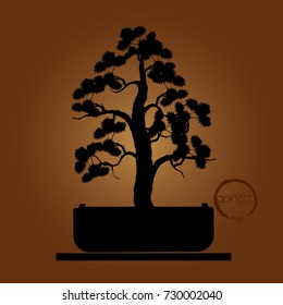 Bonsai tree. Black silhouette of bonsai. Detailed image. Vector illustration  