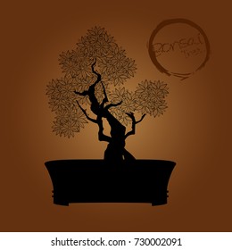 Bonsai tree. Black silhouette of bonsai. Detailed image. Vector illustration  