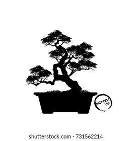 Bonsai tree. Black silhouette of bonsai. Detailed image. Vector illustration.