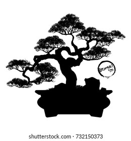 Bonsai tree. Black silhouette of bonsai. Detailed image. Vector illustration  