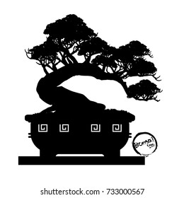 Bonsai tree. Black silhouette of bonsai. Detailed image. Vector illustration