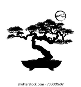 Bonsai tree. Black silhouette of bonsai. Detailed image. Vector illustration