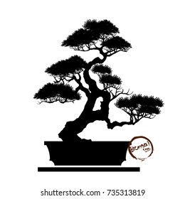 Bonsai tree. Black silhouette of bonsai. Detailed image. Vector illustration.