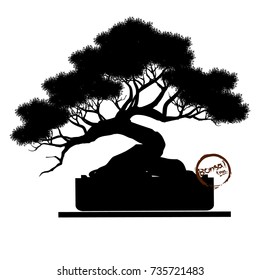 Bonsai tree. Black silhouette of bonsai. Detailed image. Vector illustration  