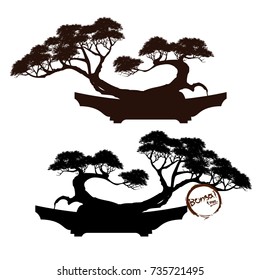 Bonsai tree. Black silhouette of bonsai. Detailed image. Vector illustration  
