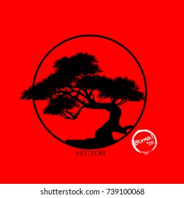 Bonsai tree. Black silhouette of bonsai. Detailed image. Vector illustration. tree logo.