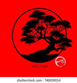 Bonsai tree. Black silhouette of bonsai. Detailed image. Vector illustration  