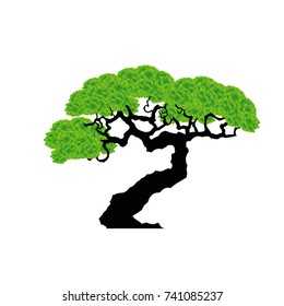 Bonsai tree. Black silhouette of bonsai. Detailed image. Vector illustration