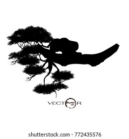 Bonsai tree, Black silhouette of bonsai, Detailed image, Vector illustration,  