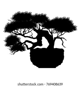 Bonsai tree. Black silhouette of bonsai, japanese hawthorn bonsai in bloom, Vector illustration  