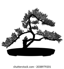 Bonsai tree black silhouette on a white background. Detailed isolated image. Decorative arts hobby of growing mini tree in the pot. Asian origin. Vector.