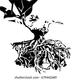 "Bonsai Tree" Black silhouette of bonsai on a white background. Detailed image. Vector illustration