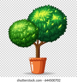 Bonsai tree in clay pot illustration