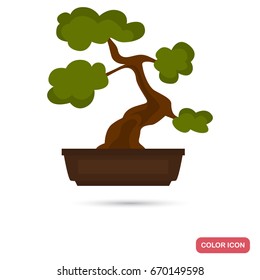Bonsai tree color flat icon for web and mobile design