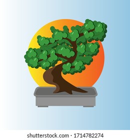 
Bonsai tree in a container looks at the rising sun