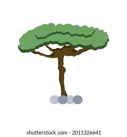 Bonsai-Baumdekoration einzeln auf Symbol