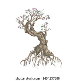 Bonsai tree for decoration small tree and fantasy shape illustration art 
