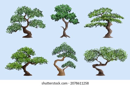 Bonsai tree. Decorative japanese authentic plants botanical elderly trees in pots decent vector realistic illustrations set isolated