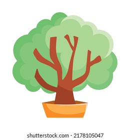 bonsai tree design over white