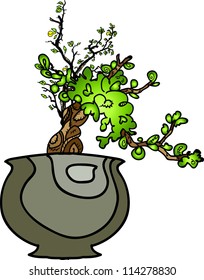 Bonsai tree in earthen pot on white background