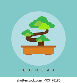 Bonsai Tree in flat design and isolated in blue color
