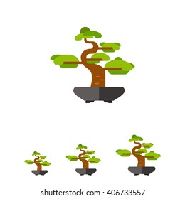 Bonsai tree flat icon