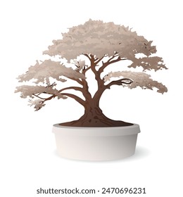 Bonsai tree in flowerpot isolated graphic illustrated.