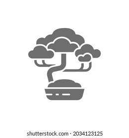 Bonsai tree grey icon. Isolated on white background