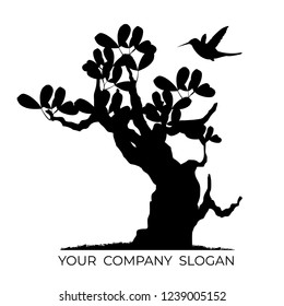 Bonsai tree and hummingbird, vector illustration isolated on background. Japanese hawthorn bonsai, Detailed image, Mini tree in pot. silhouette of bonsai, Vector illustration, 