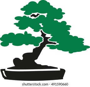 Bonsai Tree icon