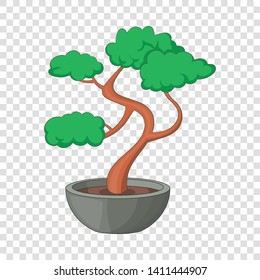 Bonsai tree icon. Cartoon illustration of bonsai tree vector icon for web