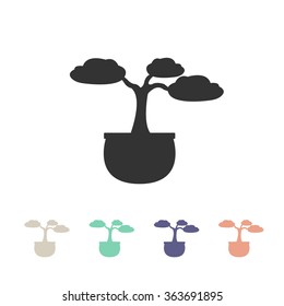 bonsai tree icon. vector illsutration