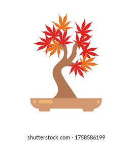 Bonsai tree icon, tree vector. Illustration cartoon bonsai tree in flat style