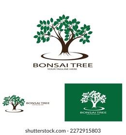 bonsai tree icon vector illustration template design