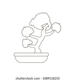 Bonsai tree illustration