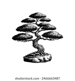 Ilustración de árbol de bonsai. Vector de árbol de bonsai. Bosquejo de Antiguas de un árbol de bonsáis. Árbol de bonsáis de silueta