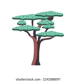 bonsai tree isolated flat icon