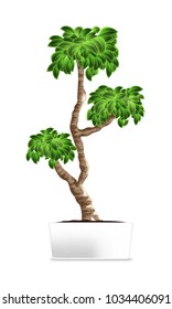 Bonsai tree isolated on white. Element of home decor. The symbol of growth and ecology. Vector illustration. Eps 10