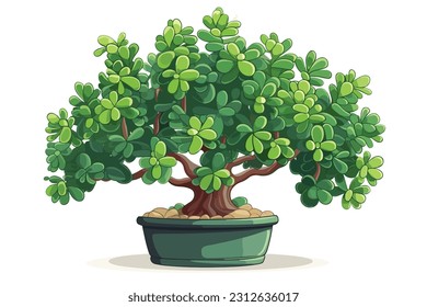 bonsai tree isolated on white background vector illustration.