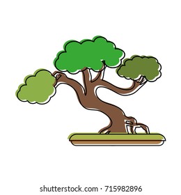 bonsai tree japan related icon image 