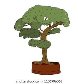 Bonsai tree. Japaneese tray planting. Vector illustration. 