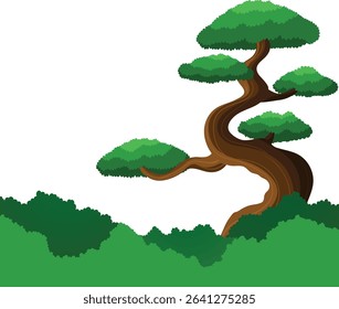  Bonsai Tree in a Japanese Garden 