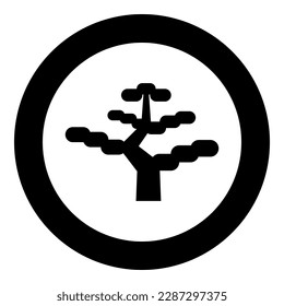 Bonsai tree japanese icon in circle round black color vector illustration image solid outline style