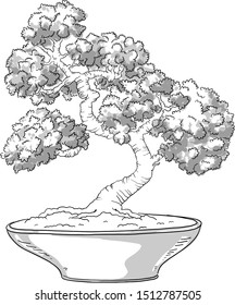 Bonsai tree. Japanese tree miniature. Silhouette. Japanese pine. Bonsai in a pot. Japanese art. Vector isolated on white background.