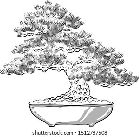 Bonsai tree. Japanese tree miniature. Silhouette of needles. Japanese pine. Potted tree. Japanese art. Vector isolated on white background.