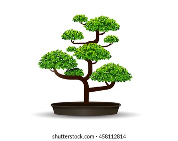 bonsai tree and leaf,vector