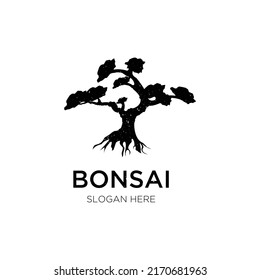 Bonsai tree logo design inspiration