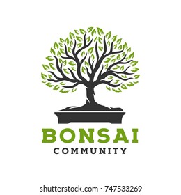 Bonsai Tree Logo Template